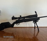 Remington 700 .308