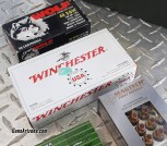 .40 CAL AMMO Remington Golden Sabre Winchester Magtech (Also DRY BOXES Proper Storage) 