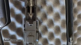 Saiga4