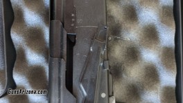 Saiga5