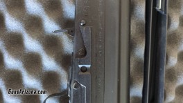 Saiga6