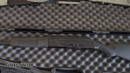 Saiga7