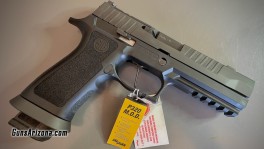 P320MOD - 2