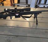 Savage 308 