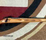 Remington 700 Laminate 270win