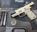 Sig AXG Scorpion w/ Romeo 1 Pro