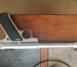 Ruger MK2 target