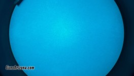 1000014621
