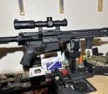 Armalite AR10