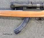 Ruger 10/22 .22 LR Semi-Auto Rifle 