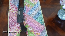 20 GA 3