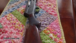20 GA semiauto 1