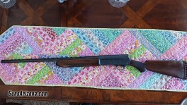 Semi auto 20 Ga