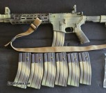 Wolf T91 14.5 (Pin and Weld) AR15 on Ballistic Advantage Lower w/ lots of Extras 