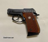 Excellent back-up pistol; Taurus PT 22 Semi-Auto 