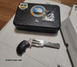 North American Arms 22Mag mini revolver