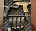 Sig P320