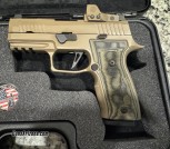 Sig Scorpion AXG Custom works+Romeo 1 pro