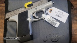 Kimber EVO (2)