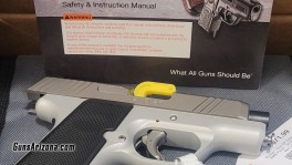 Kimber EVO (3)
