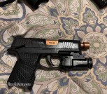 Sig P365