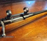 1903 springfield rifle sporter 30-06