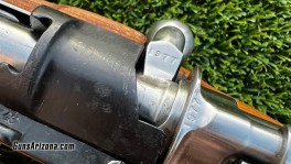 IMG_8784
