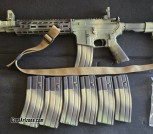 Wolf T91 14.5' pin-&-weld upper on Ballistic Advantage Lower w/ extra mags, parts, and accessories
