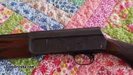 semi auto 20 GA 2