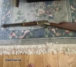 Henry Golden Boy .357 Magnum