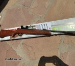 Hatsan Model 95 .22 Caliber