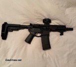 VLTOR 300 blackout with vortex red dot