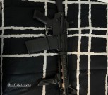 Quentin defense Arp