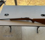 Ruger mod 77/22 22 l.r.