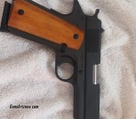 Ria 1911 45acp