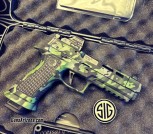 Sig p320 spectre beast 