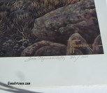 deer 341-500 signed tom mansanarez