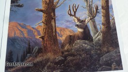 deer something in the wind tom mansanarez