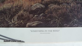 deer tom marsanarez  name something in the wind