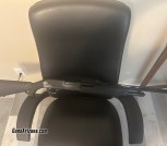 Winchester SXP 20ga