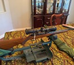 Ruger M77 MKII 257 Roberts