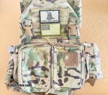Ats plate carrier