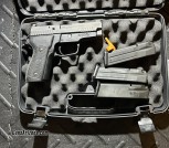 Sig 229 Classic carry