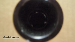 P1010004