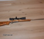 Ruger Model 77 22-250 Rem. Stainless Heavy Barrel