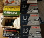 shot gun shells