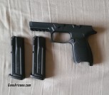 SIG P320/P250 Module + (2) 15 Round Magazines 