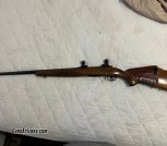 SAVAGE mod110c 22-250