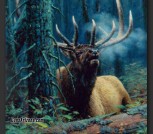 Black_hole_bull_lo_2