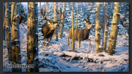 buck_fever-01